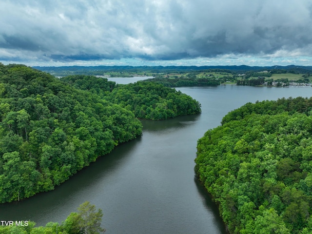 24483 Cave Creek Rd, Abingdon, VA 24211 - bird's eye view of a nearby body of water and a heavily wooded area