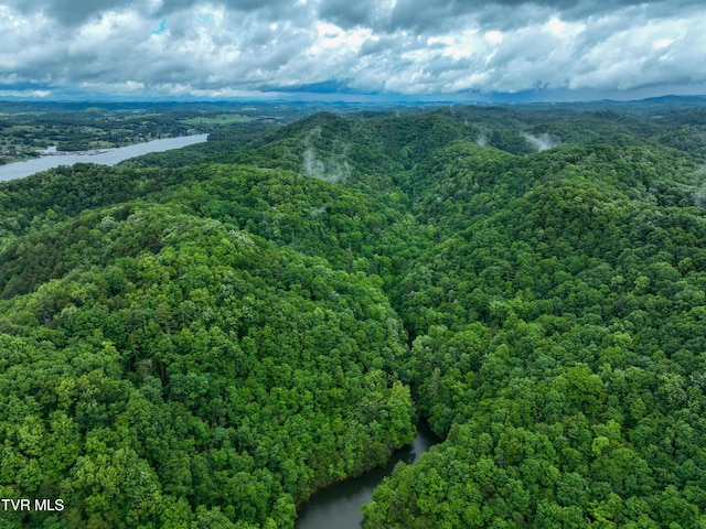 24483 Cave Creek Rd, Abingdon, VA 24211 - aerial view of a heavily wooded area and a nearby body of water