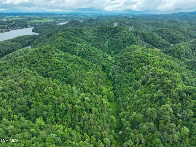 24483 Cave Creek Rd, Abingdon, VA 24211 - drone / aerial view of a heavily wooded area and a large body of water
