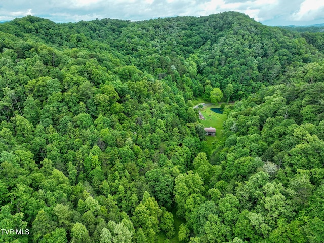 24483 Cave Creek Rd, Abingdon, VA 24211 - bird's eye view of a heavily wooded area