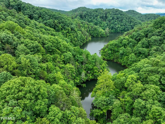 24483 Cave Creek Rd, Abingdon, VA 24211 - bird's eye view of a large body of water and a forest
