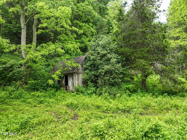 24483 Cave Creek Rd, Abingdon, VA 24211 - view of yard featuring a forest view