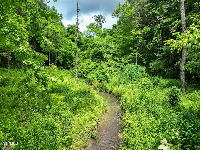 24483 Cave Creek Rd, Abingdon, VA 24211 - view of undeveloped land