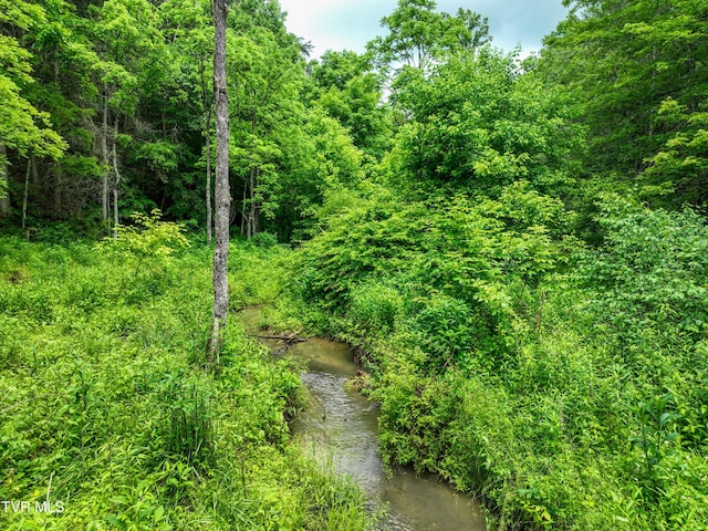 24483 Cave Creek Rd, Abingdon, VA 24211 - view of local wilderness