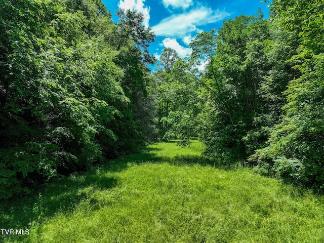 24483 Cave Creek Rd, Abingdon, VA 24211 - view of wooded area