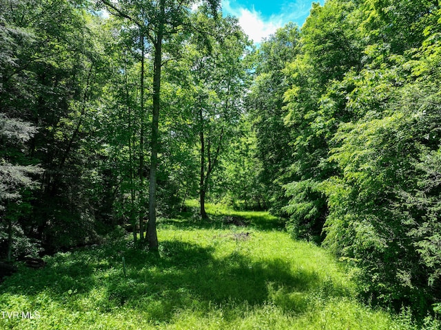 24483 Cave Creek Rd, Abingdon, VA 24211 - view of woods