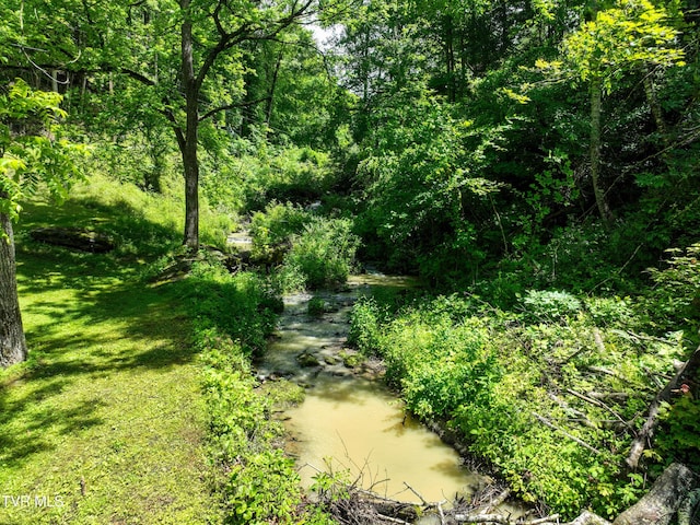24483 Cave Creek Rd, Abingdon, VA 24211 - view of nature