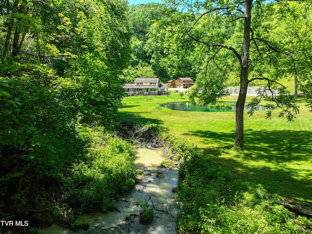 24483 Cave Creek Rd, Abingdon, VA 24211 - view of grassy yard with a view of trees