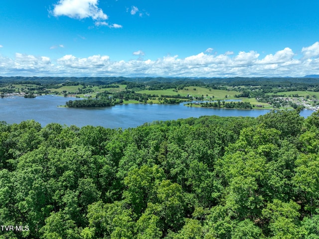 24483 Cave Creek Rd, Abingdon, VA 24211 - bird's eye view of a large body of water and a heavily wooded area