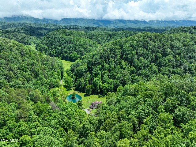 24483 Cave Creek Rd, Abingdon, VA 24211 - drone / aerial view of a forest and a nearby body of water