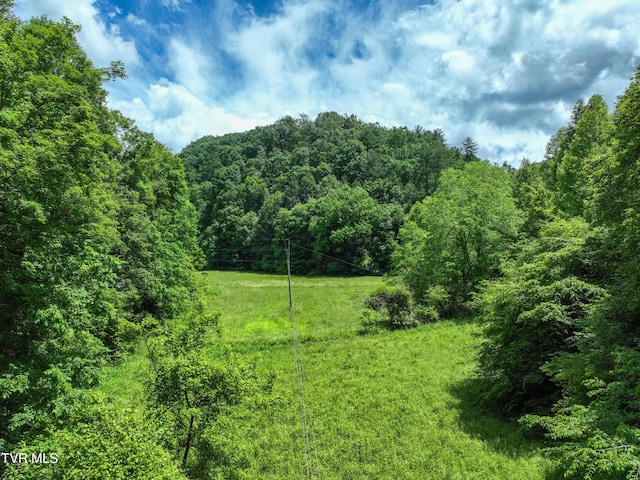 24483 Cave Creek Rd, Abingdon, VA 24211 - view of tree filled area