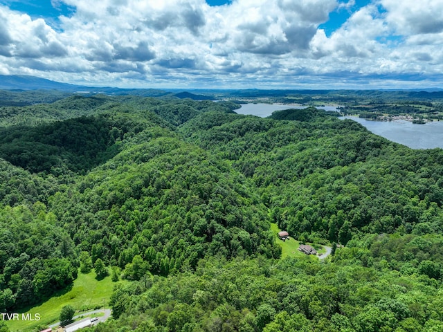 24483 Cave Creek Rd, Abingdon, VA 24211 - bird's eye view of a forest and a nearby body of water