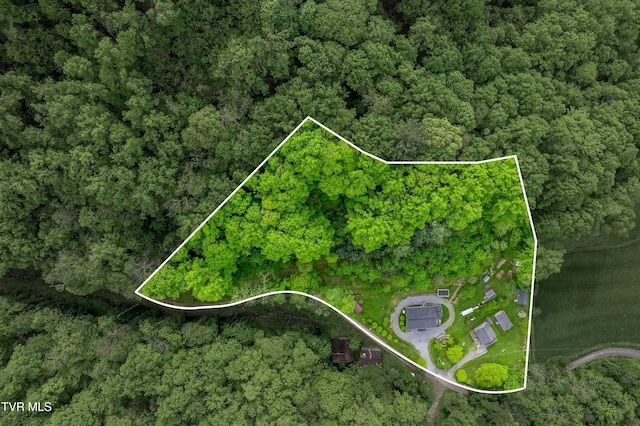 150 Rice Rd, Flag Pond, TN 37657 - photo 3