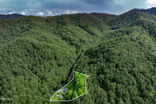 150 Rice Rd, Flag Pond, TN 37657 - photo 4