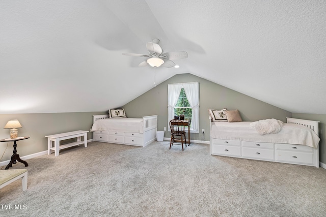150 Rice Rd, Flag Pond, TN 37657 - photo 24