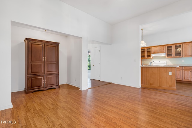 4006 Navaho Dr, Johnson City, TN 37604 - unfurnished living room with light wood-style flooring and baseboards