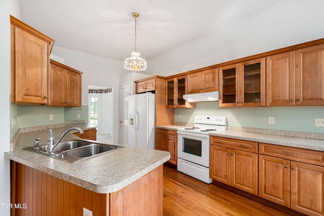 4006 Navaho Dr, Johnson City, TN 37604 - kitchen featuring white appliances, a sink, under cabinet range hood, and brown cabinets