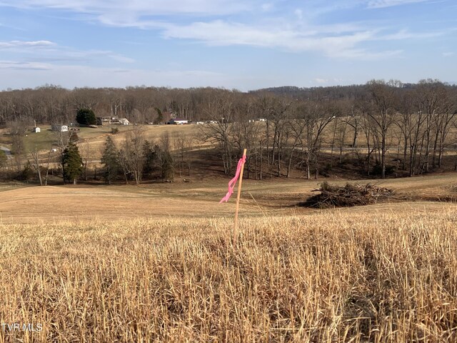 00 Jackson Rd Lot 12, Jonesborough, TN 37659