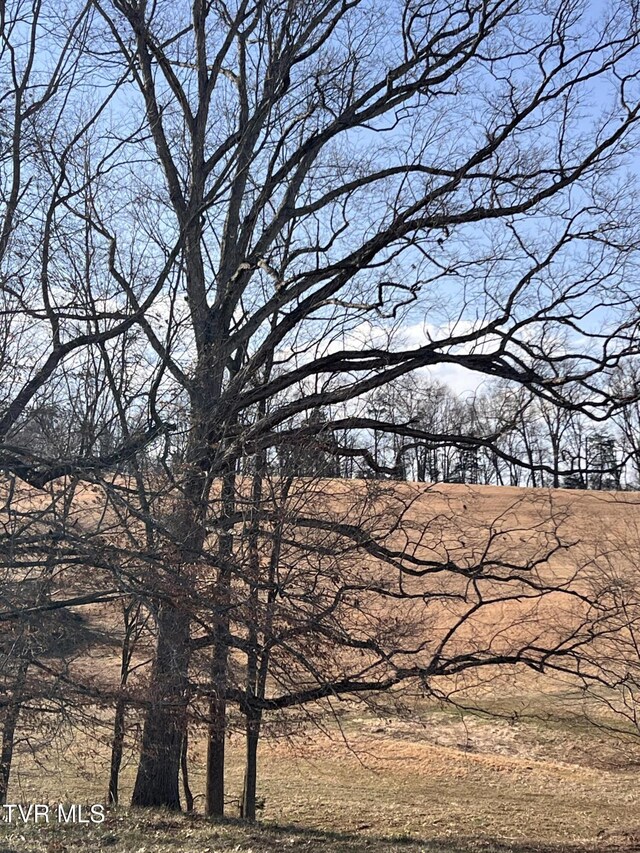 00 Jackson Rd Lot 12, Jonesborough, TN 37659