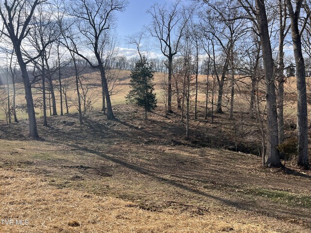 00 Jackson Rd Lot 12, Jonesborough, TN 37659
