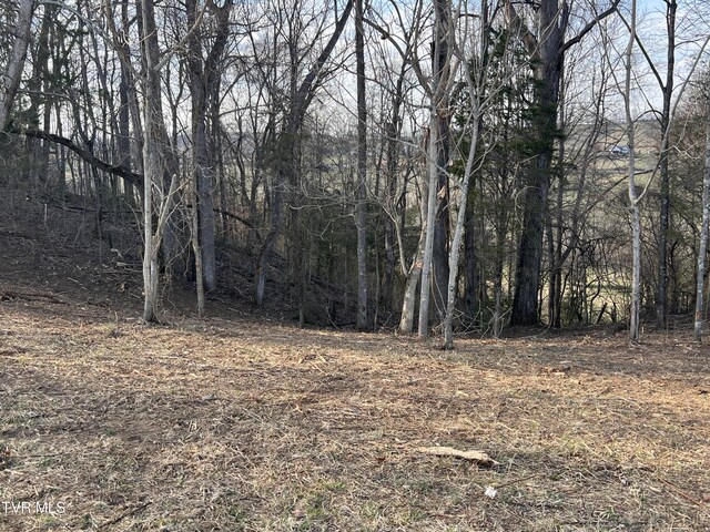 00 Jackson Rd Lot 12, Jonesborough, TN 37659