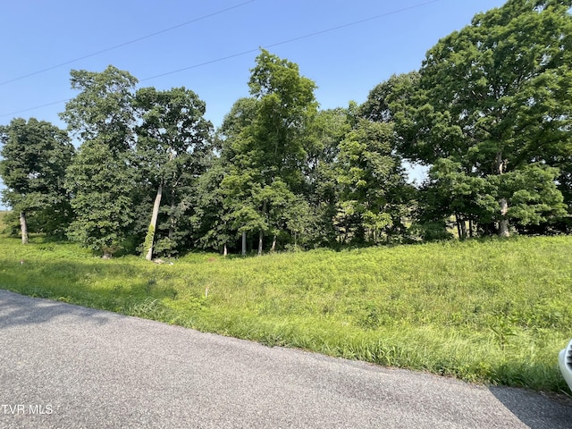 00 Jackson Rd Lot 12, Jonesborough, TN 37659