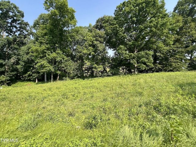 00 Jackson Rd Lot 12, Jonesborough, TN 37659