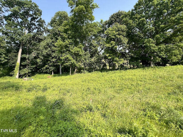 00 Jackson Rd Lot 12, Jonesborough, TN 37659