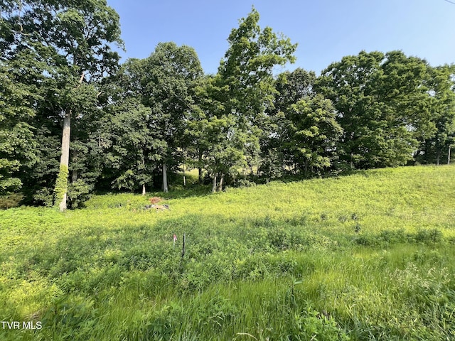 00 Jackson Rd Lot 12, Jonesborough, TN 37659