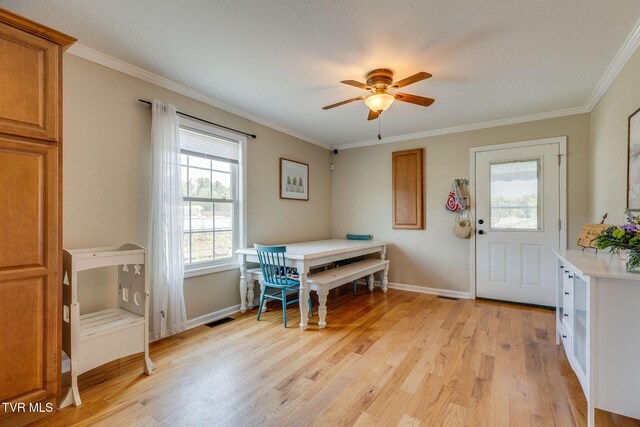 101 Messick Ave, Church Hill, TN 37642 - photo 15
