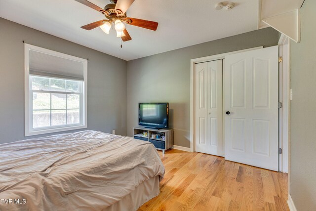 101 Messick Ave, Church Hill, TN 37642 - photo 29
