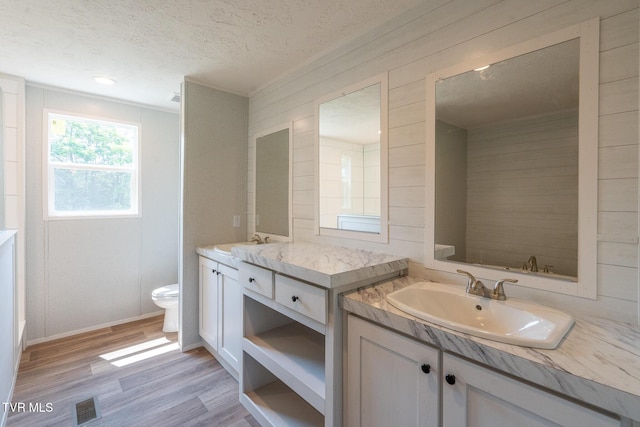 255 Piney Grove Rd, Greeneville, TN 37743 - bathroom with vanity, a textured ceiling, toilet, and wood finished floors