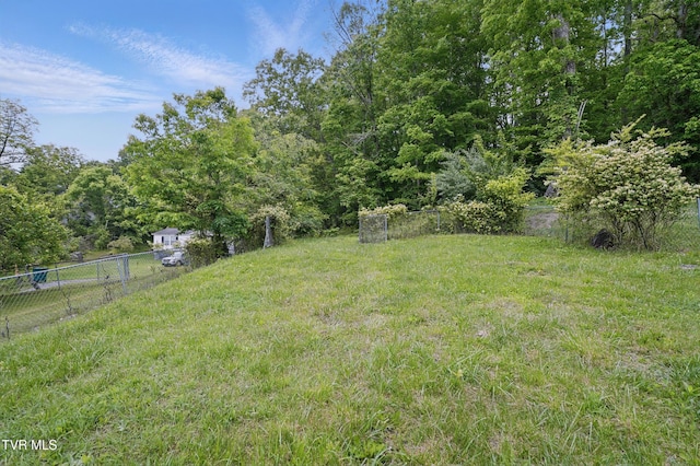 631 NE Meadow St, Coeburn, VA 24230 - view of yard