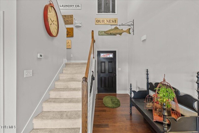 256 Miss Maude Patton Ln, Jonesborough, TN 37659 - photo 12