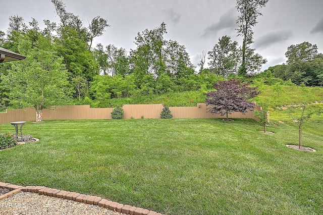 520 Villa Ln, Greeneville, TN 37745 - photo 45