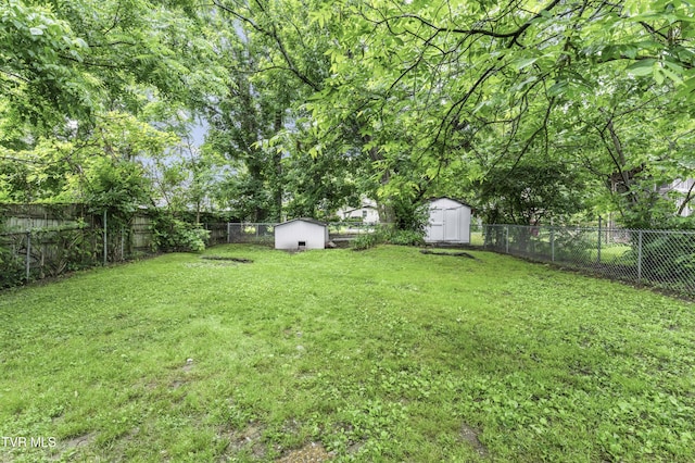 115 W Poplar St, Johnson City, TN 37604 - view of yard