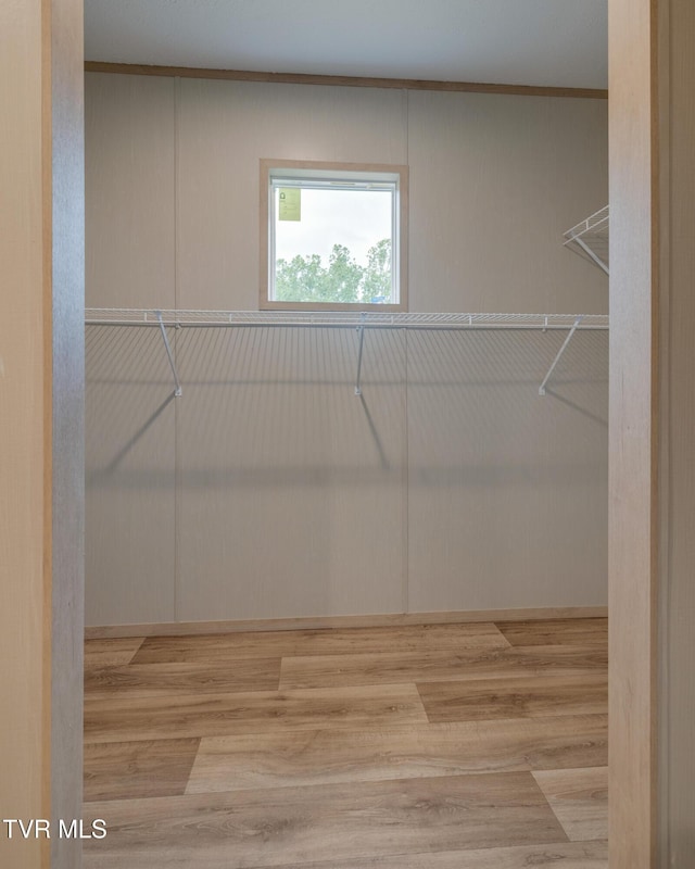 913 Henry Harr Rd, Blountville, TN 37617 - walk in closet featuring wood finished floors