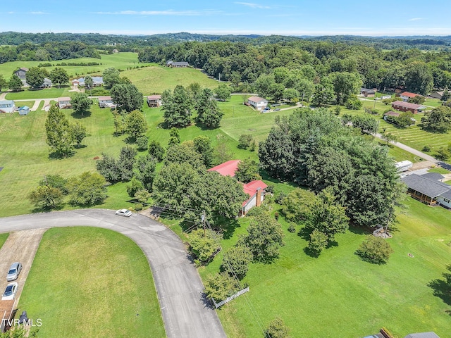 855 Sioux Trl, Greeneville, TN 37743 - photo 5