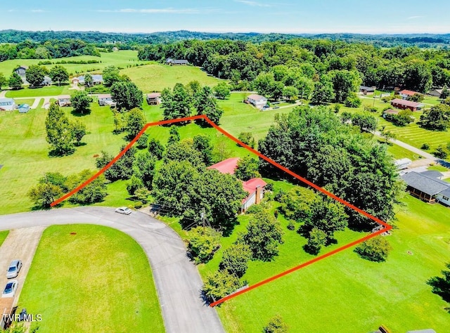 855 Sioux Trl, Greeneville, TN 37743 - photo 7