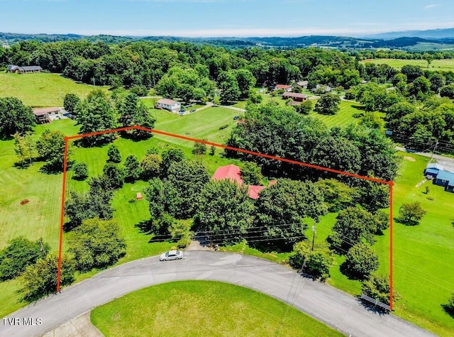 855 Sioux Trl, Greeneville, TN 37743 - photo 8