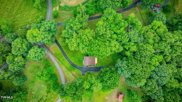 319 Woodland Rd, Jonesborough, TN 37659 - aerial view of property and surrounding area