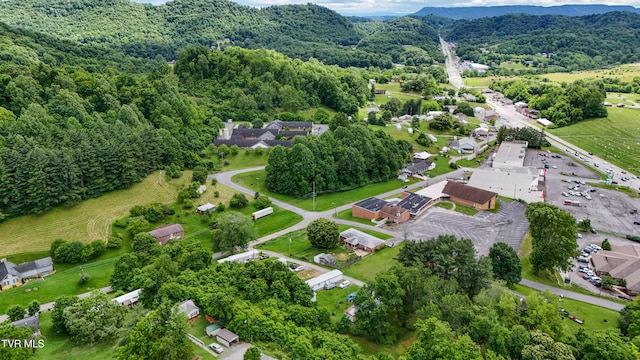 275 Church St, Weber City, VA 24290 - photo 46