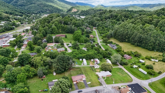 275 Church St, Weber City, VA 24290 - photo 50