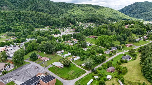 275 Church St, Weber City, VA 24290 - photo 53
