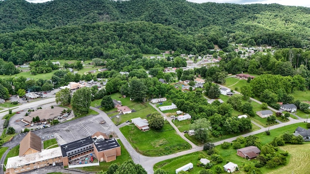 275 Church St, Weber City, VA 24290 - photo 4
