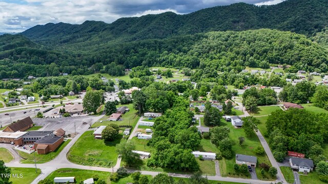 275 Church St, Weber City, VA 24290 - photo 65