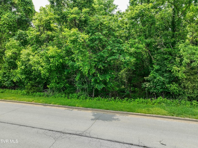 614 Harbor Point Dr, Johnson City, TN 37615