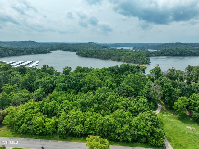 614 Harbor Point Dr, Johnson City, TN 37615