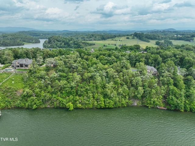 614 Harbor Point Dr, Johnson City, TN 37615