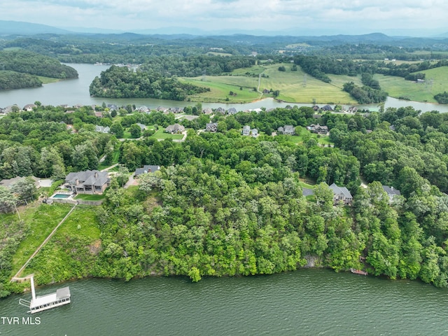 614 Harbor Point Dr, Johnson City, TN 37615